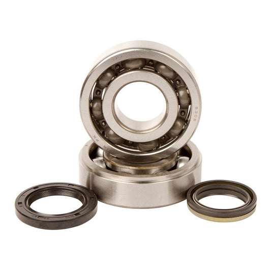 Main Bearing and Seal Kit
