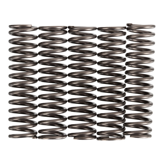 Premier Clutch Springs - Heavy Duty
