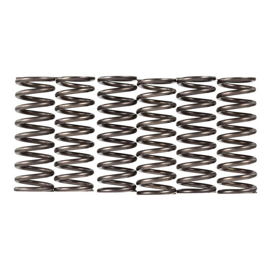 Premier Clutch Springs - Heavy Duty