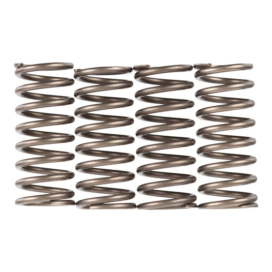 Premier Clutch Springs - Heavy Duty