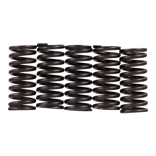 Premier Clutch Springs - Heavy Duty