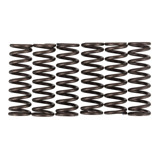 Premier Clutch Springs - Heavy Duty