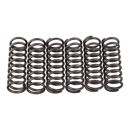 Premier Clutch Springs - Heavy Duty