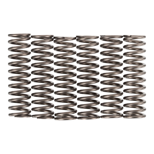 Premier Clutch Springs - Heavy Duty