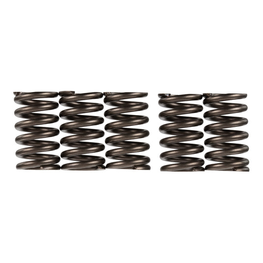 Premier Clutch Springs - Heavy Duty
