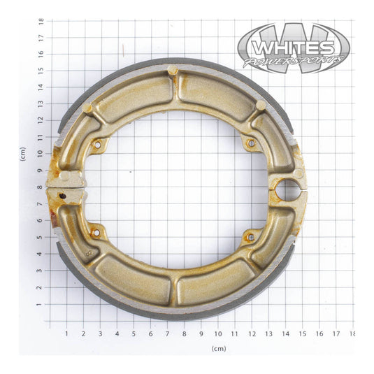Premier Brake Shoes & Springs