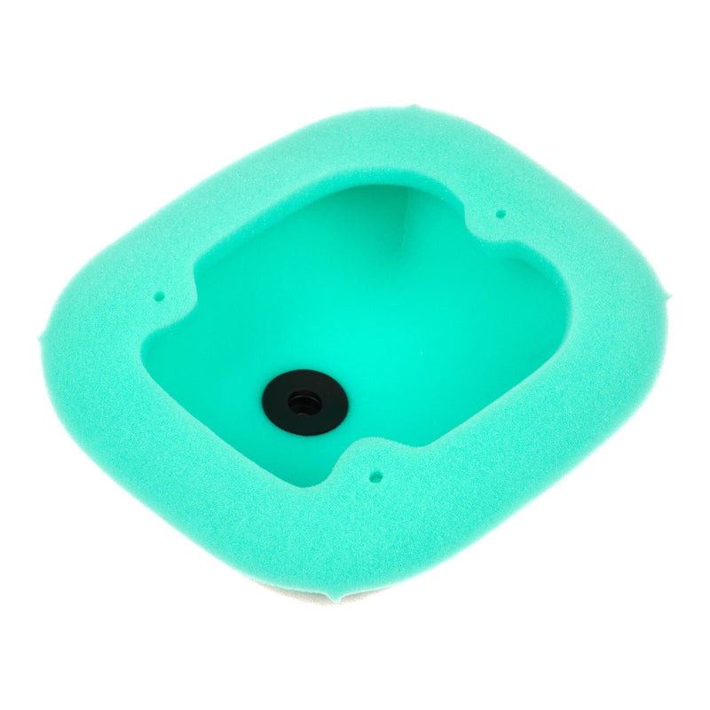 Load image into Gallery viewer, Putoline Air Filter GA8195
