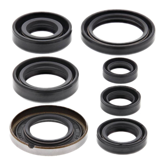Oil Seal Kit 822161