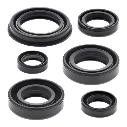 Oil Seal Kit 822220