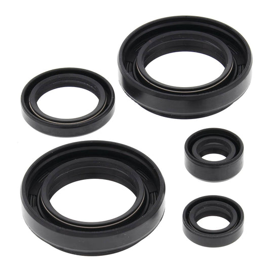 Oil Seal Kit 822234