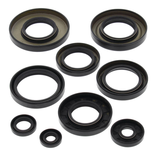 Oil Seal Kit 822247