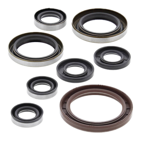 Oil Seal Kit 822364