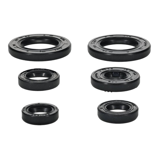 Oil Seal Kit 822391