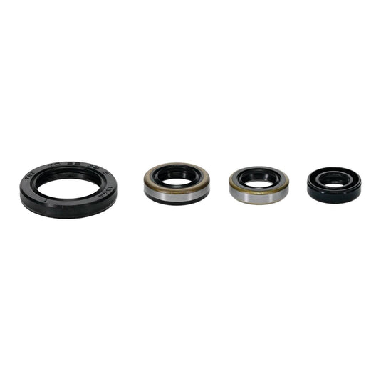 Oil Seal Kit 822399