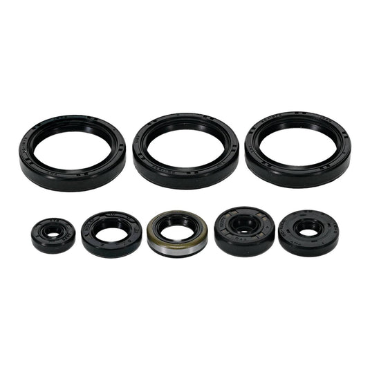 Oil Seal Kit 822403