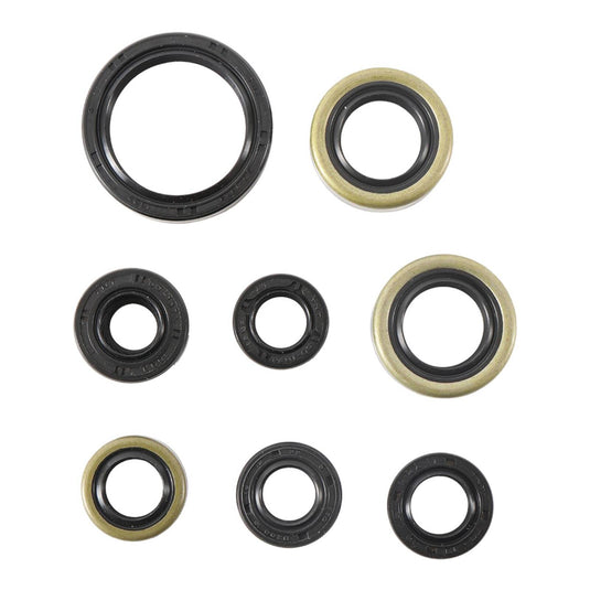 Oil Seal Kit 822485