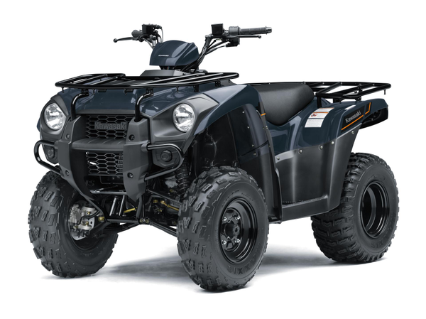 Load image into Gallery viewer, 2025 Kawasaki Brute Force KVF 300
