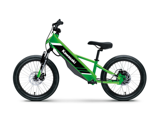 2025 Kawasaki Elektrode 20