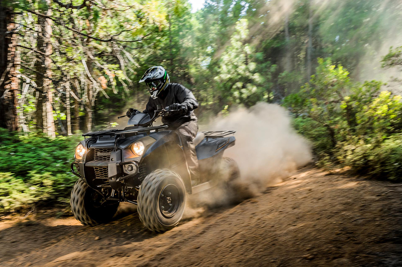 Load image into Gallery viewer, 2025 Kawasaki Brute Force KVF 300
