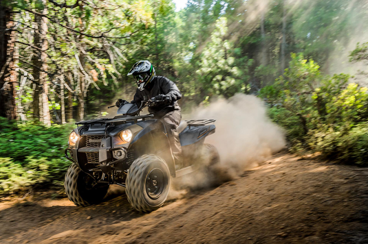 2025 Kawasaki Brute Force KVF 300