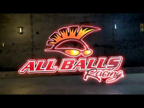 Load and play video in Gallery viewer, All Balls Racing Calliper Rebuild Kit (18-3110)
